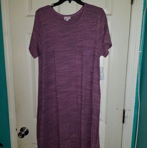 Nwt Xl Carly amazing color, fabric